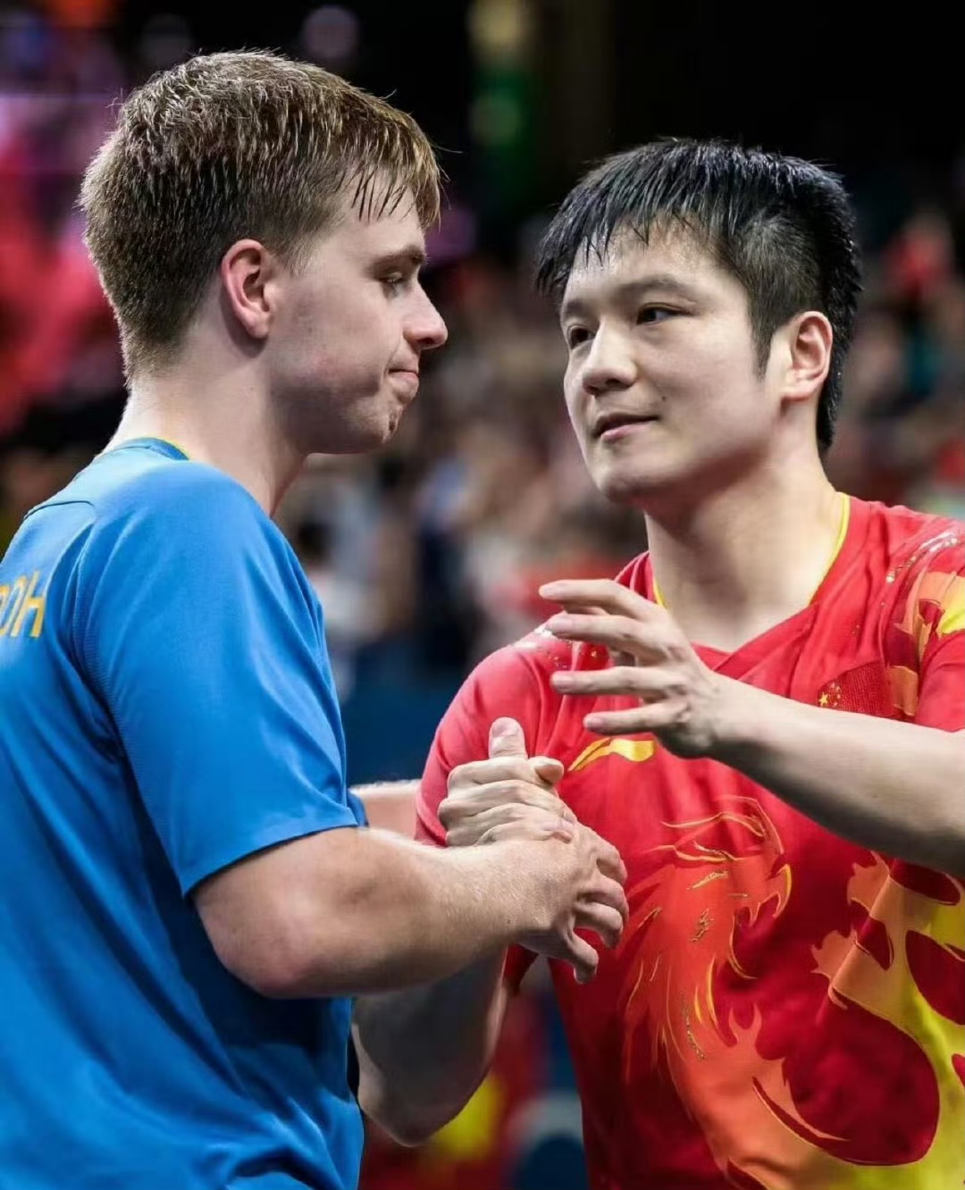 葡萄牙队逆转韩国队，樊振东状态火热