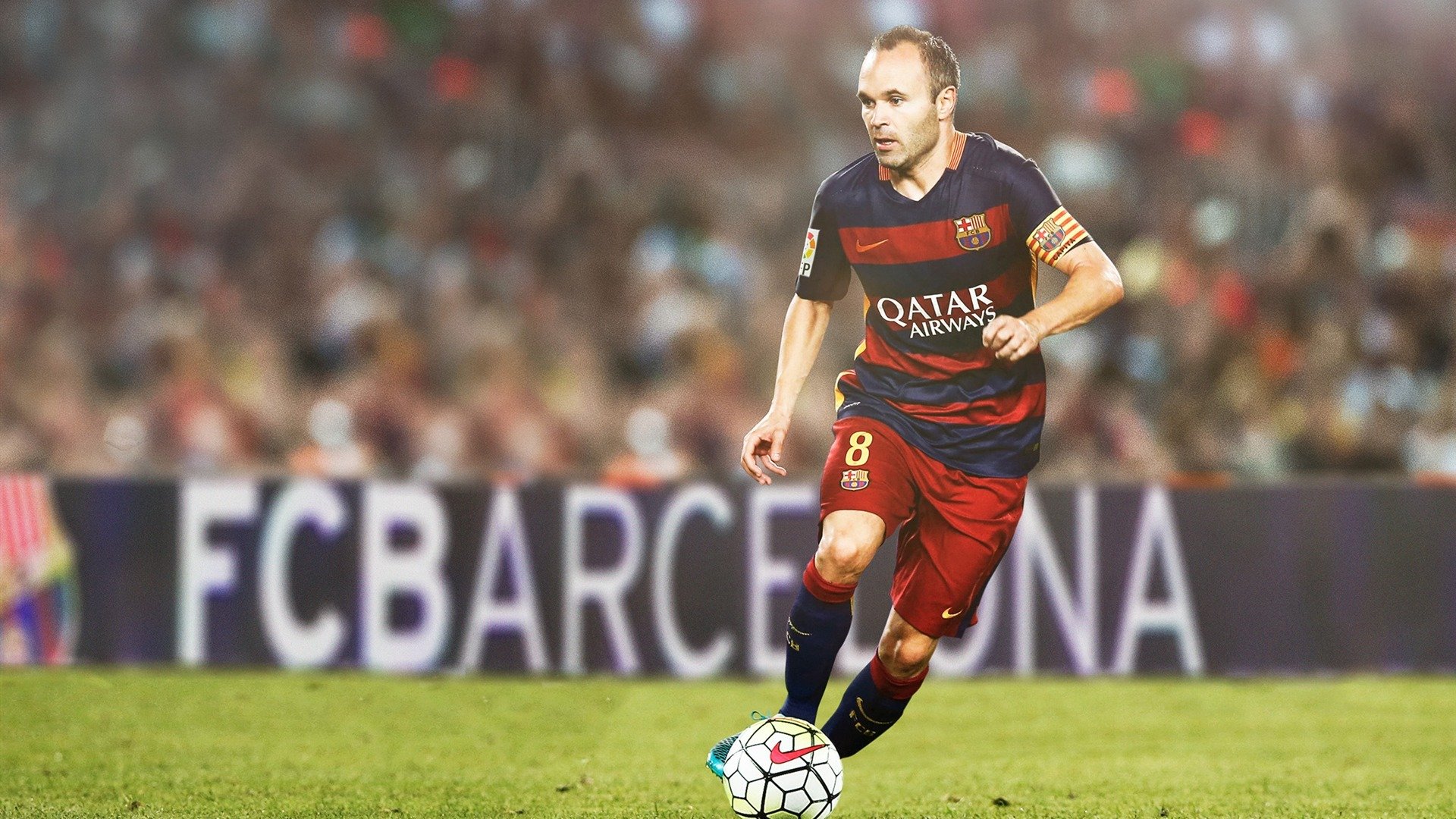 2026世界杯焦点战，鹈鹕展翅击溃猛龙，战术革命席卷绿茵场